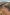 南オーストラリア州、インディアン・パシフィック号 © Journey Beyond Rail